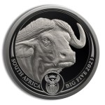 2023 1 oz platinum south african big 5 buffalo coin proof